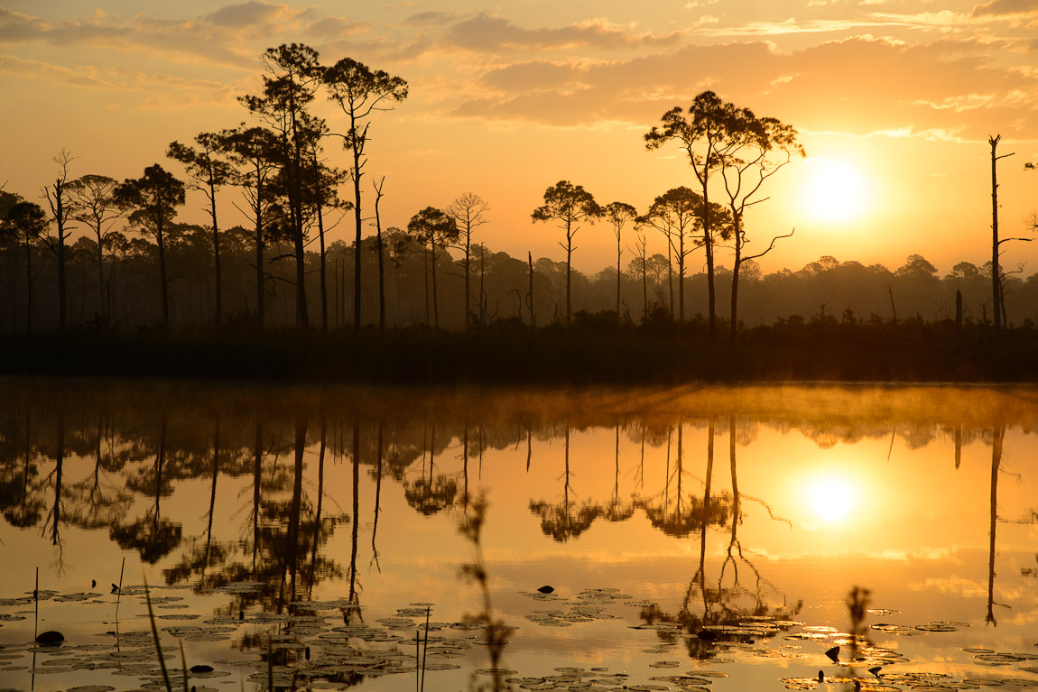 Florida 2012:  Coastal Dune Lakes