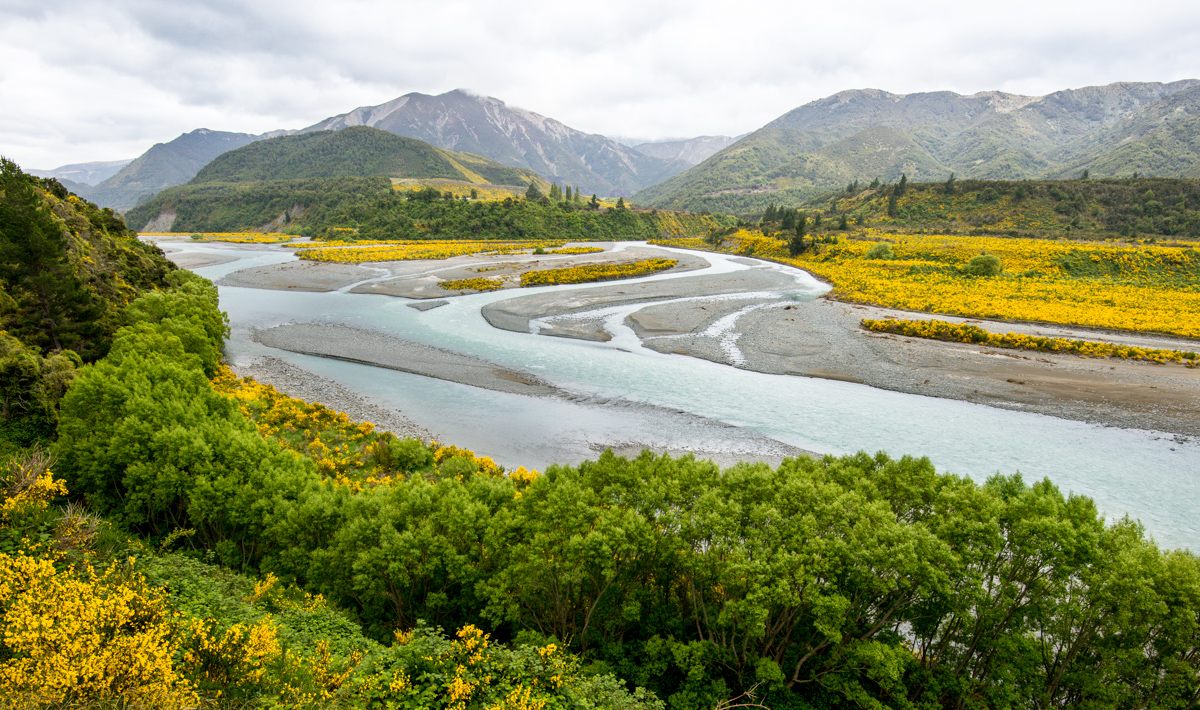 New Zealand Roadtrip