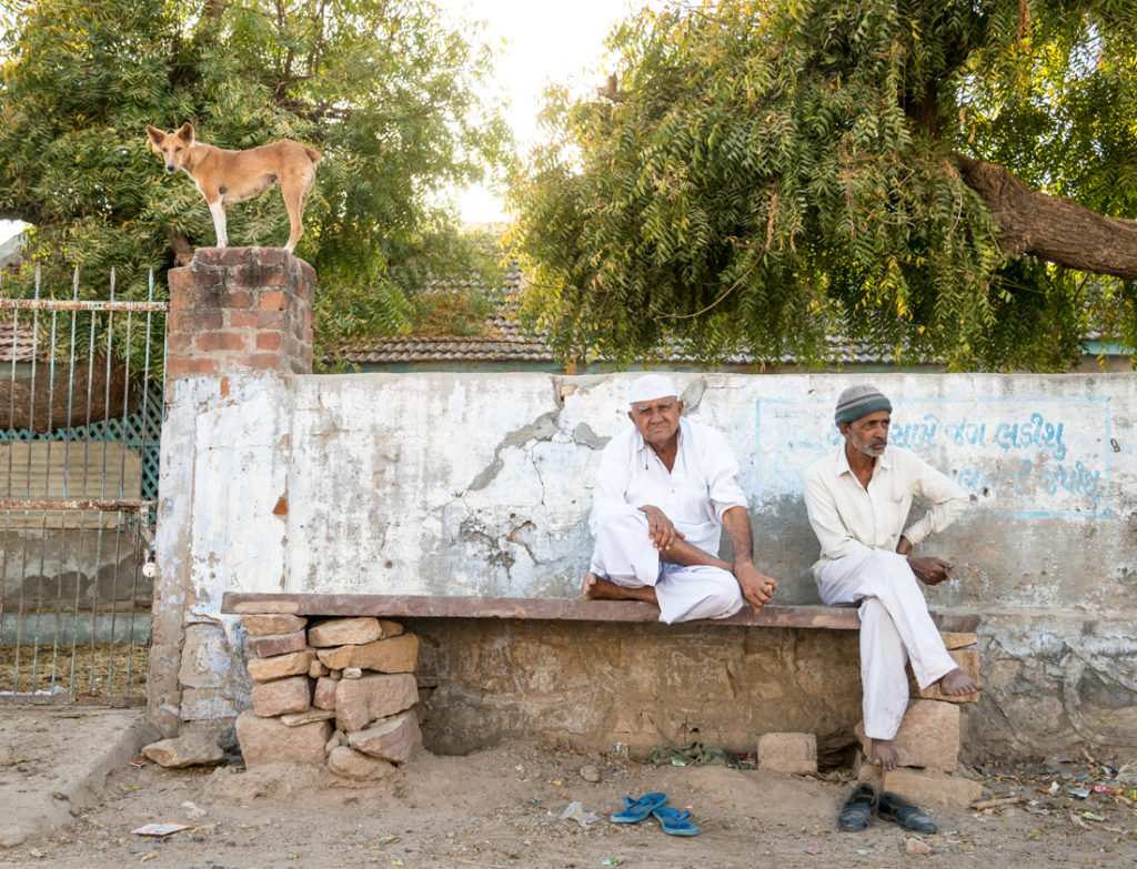 Good Karma:  Gujarat, India