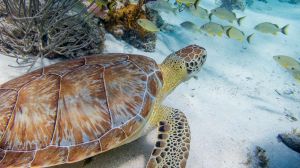 IMG_1226.jpg