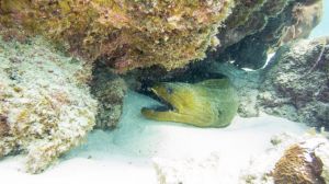 IMG_1228.jpg