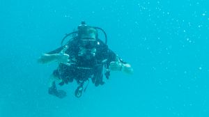 IMG_1245.jpg