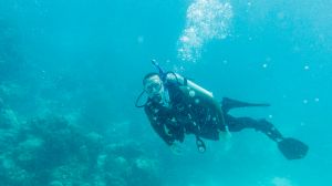 IMG_1247.jpg