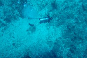 IMG_1335.jpg