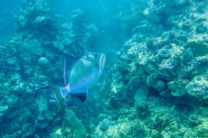 IMG_1464.jpg