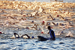 DSC_0252_edited-1