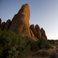 JJC6837-Arches-SDune-1