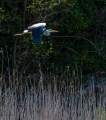 Z82_0629-Edit-2 Z82_0629-Edit-2