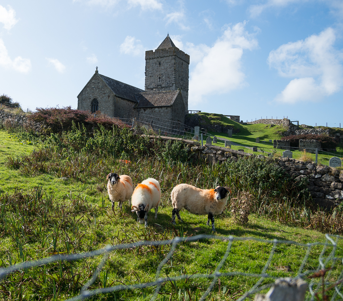 Scotland 2014: Lighthouses, Sheep, and Dead Economists